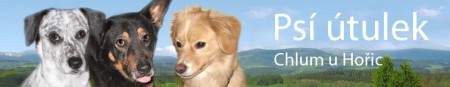 Psí útulek Chlum u Hořic