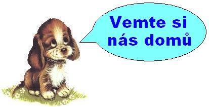 Psí útulek Eko Zábřeh